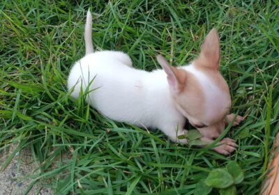 WhatsApp-Image-2025-10-27-at-7.59.46-AM