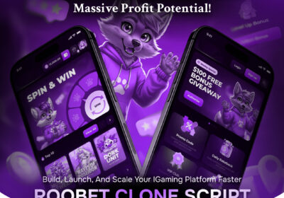 Roobet-Clone